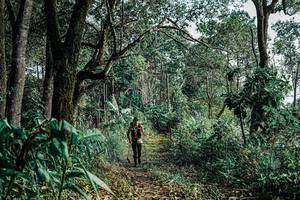 BIB: 
                            <button type="button" onclick="openModal(25660527)" class="btn btn-primary btn-sm float-right btn-popup" data-toggle="modal" data-target=".modal-high-quality">
                        <i class="fas fa-shopping-cart"></i> Add to Cart
                    </button>
                                            <button type="button" onclick="isThisMe(25660527, true)" class="btn btn-success btn-sm float-right btn-popup btn-isme hidden" data-toggle="tooltip" data-placement="bottom" title="นี่คือรูปของคุณใช่ไหม คลิกที่นี่เพื่อเอาเข้าอัลบั้ม">
                        <i class="fas fa-plus"></i> Add to album
                    </button>
                    <button type="button" onclick="isThisMe(25660527, false)" class="btn btn-warning btn-sm float-right btn-popup btn-isnotme hidden">
                        <i class="fas fa-ban"></i> Remove from album
                    </button>